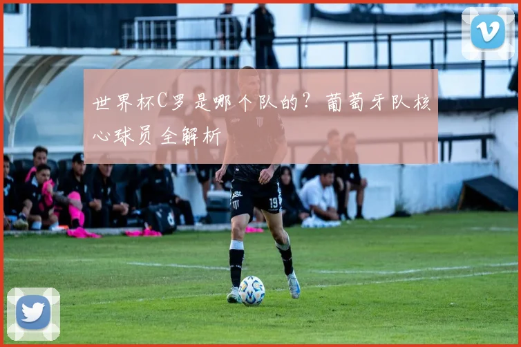 世界杯C罗是哪个队的?葡萄牙队核心球员全解析