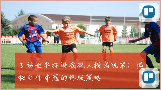 专访世界杯游戏双人模式玩家:揭秘合作夺冠的终极策略