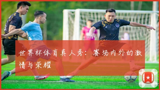 世界杯体育真人秀：赛场内外的激情与荣耀