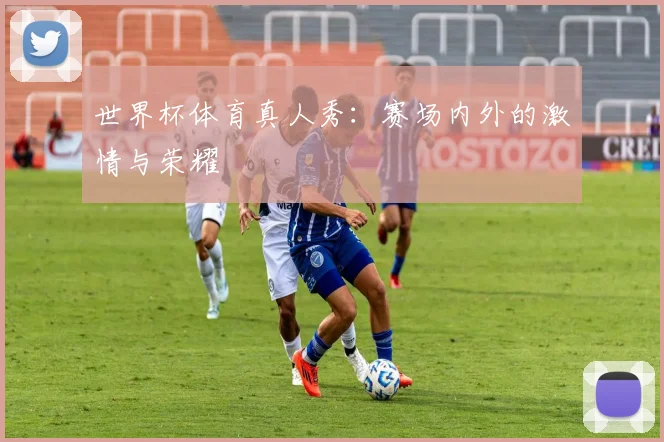 世界杯体育真人秀：赛场内外的激情与荣耀