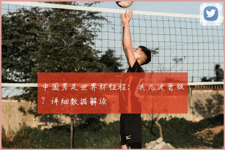中国男足世界杯征程:共几次晋级?详细数据解读