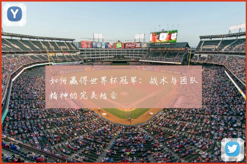 如何赢得世界杯冠军：战术与团队精神的完美结合