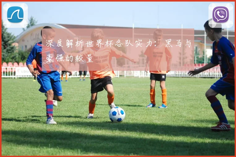 深度解析世界杯各队实力：黑马与豪强的较量