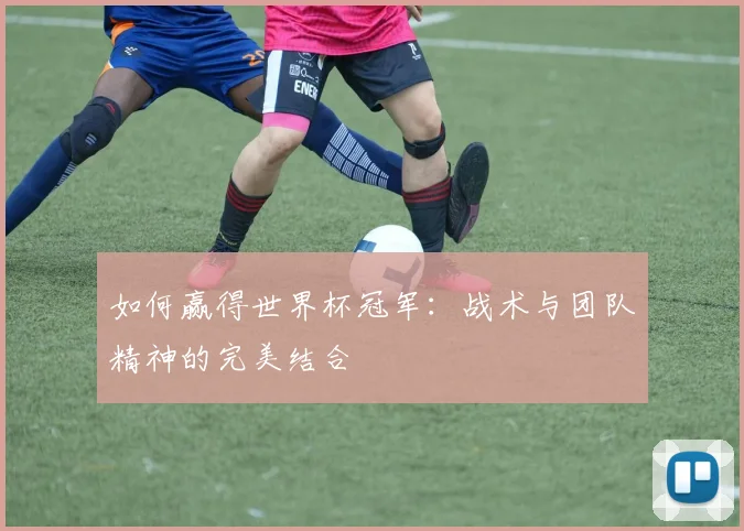 如何赢得世界杯冠军：战术与团队精神的完美结合