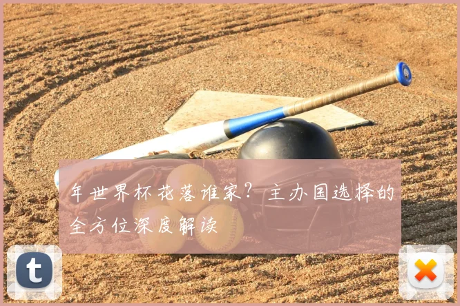 年世界杯花落谁家？主办国选择的全方位深度解读