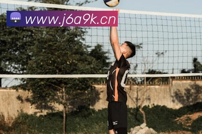 九游网页版APP 封面图